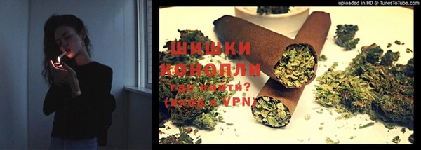 крисы Бронницы
